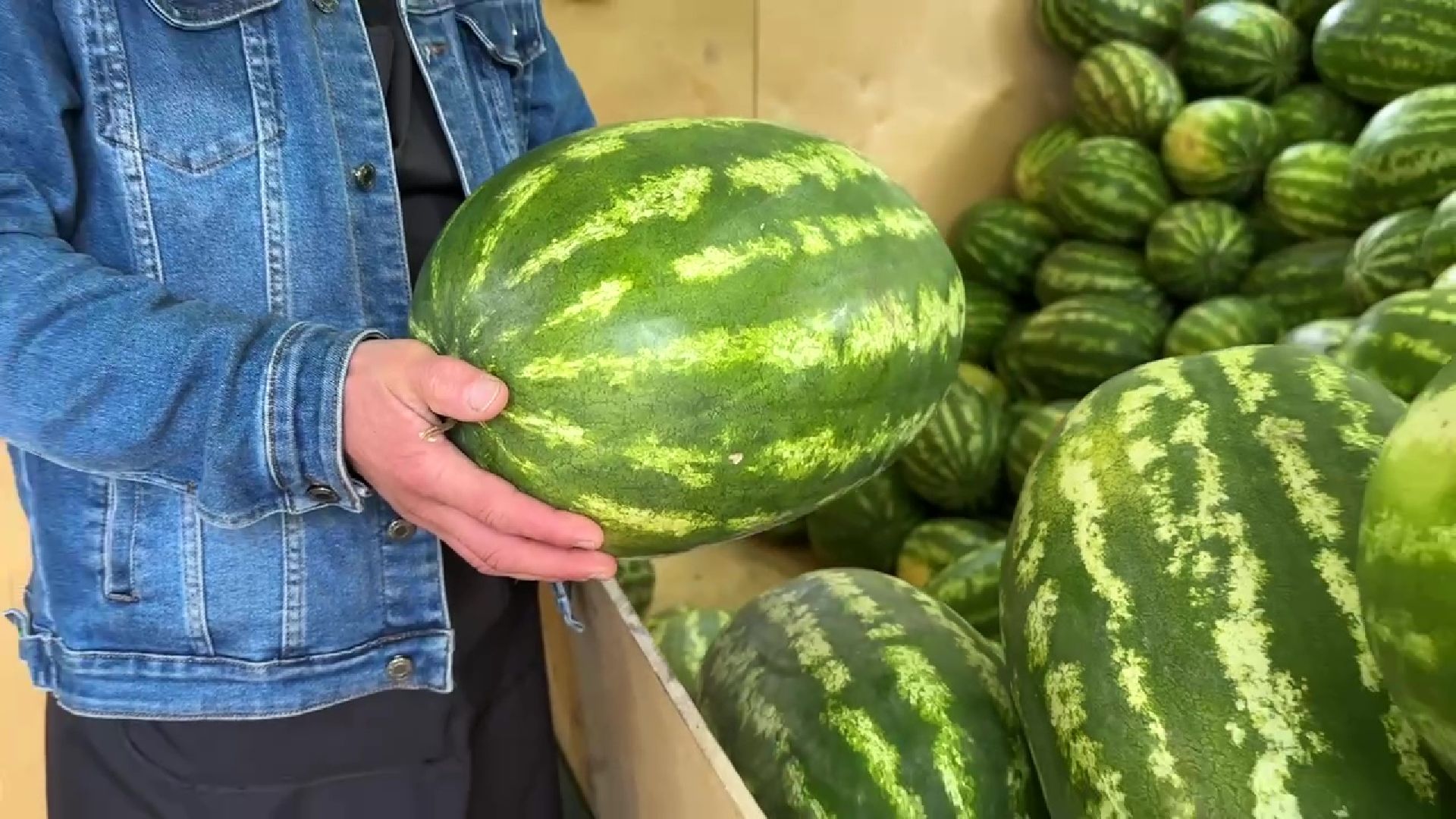 Реутов, бахчевые, торговля, арбузы, дыни, сезон начался,