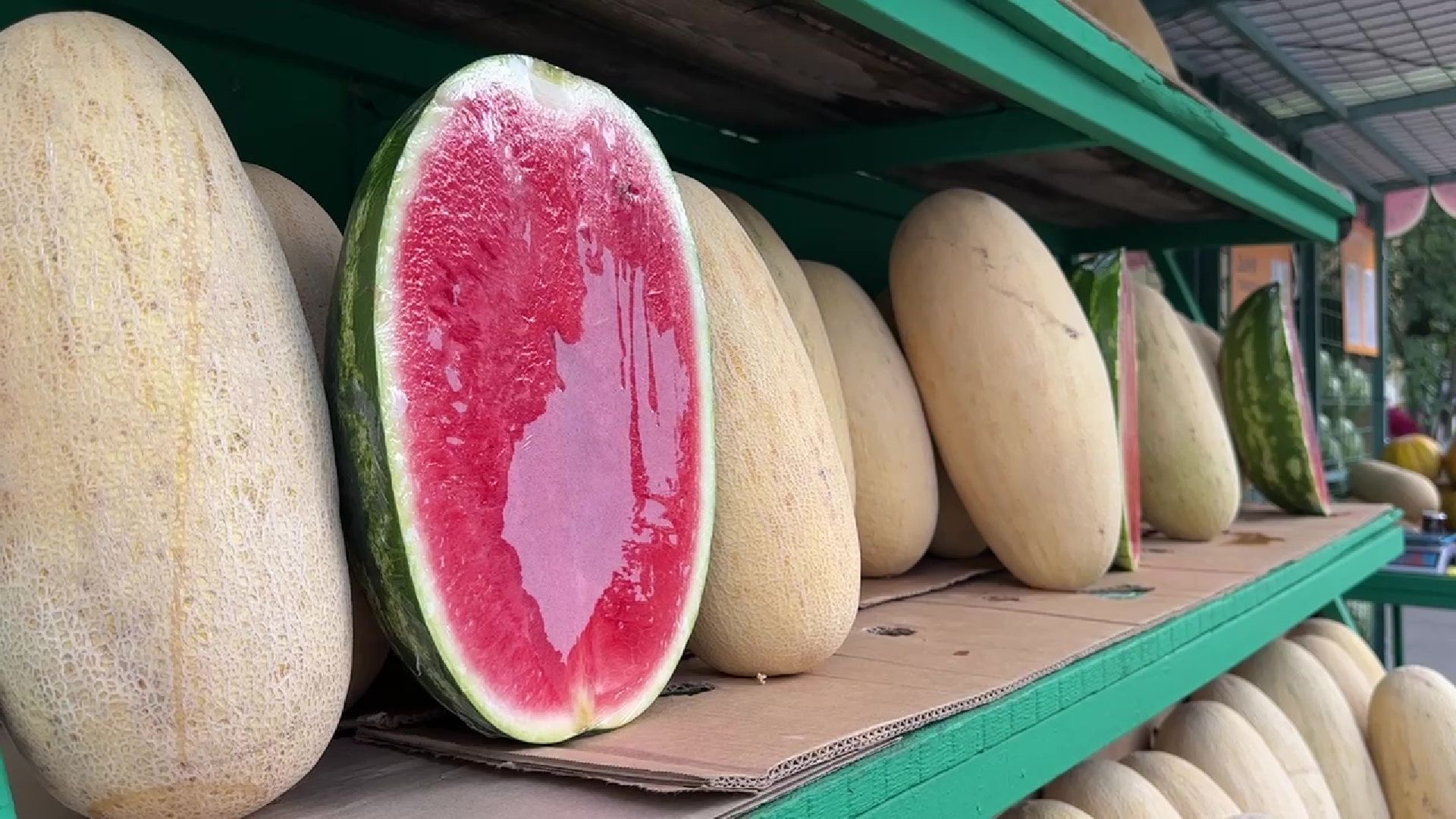 Реутов, бахчевые, торговля, арбузы, дыни, сезон начался,