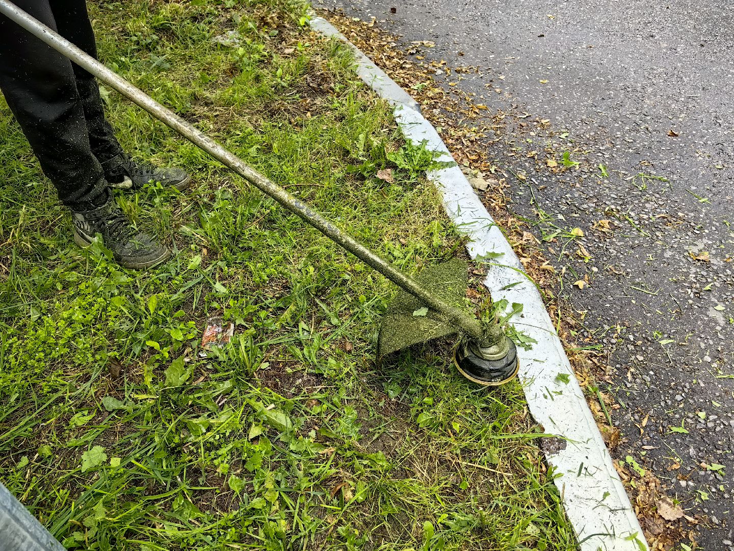 газон, стрижка, благоустройство, трава, щёлково,