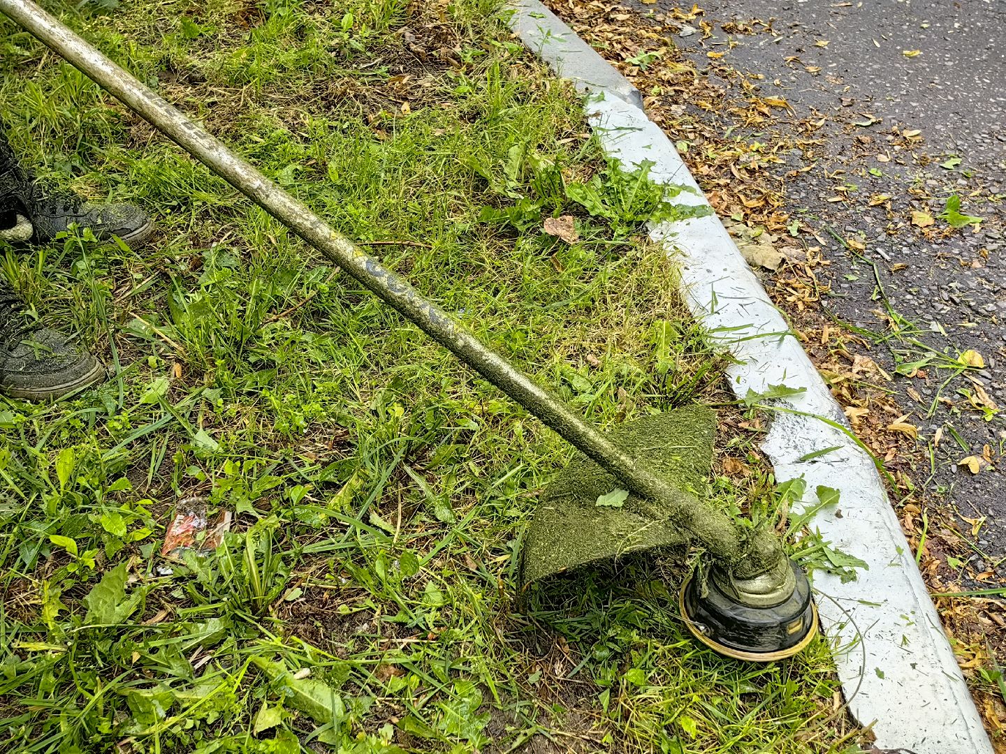 газон, стрижка, благоустройство, трава, щёлково,