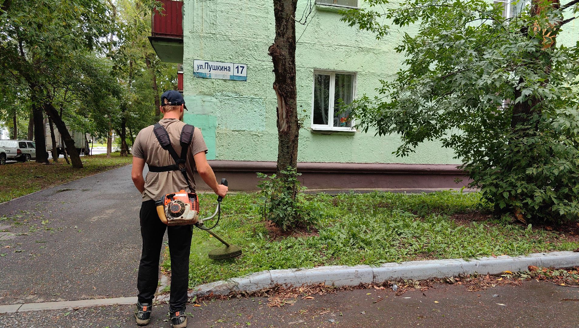 газон, стрижка, благоустройство, трава, щёлково,