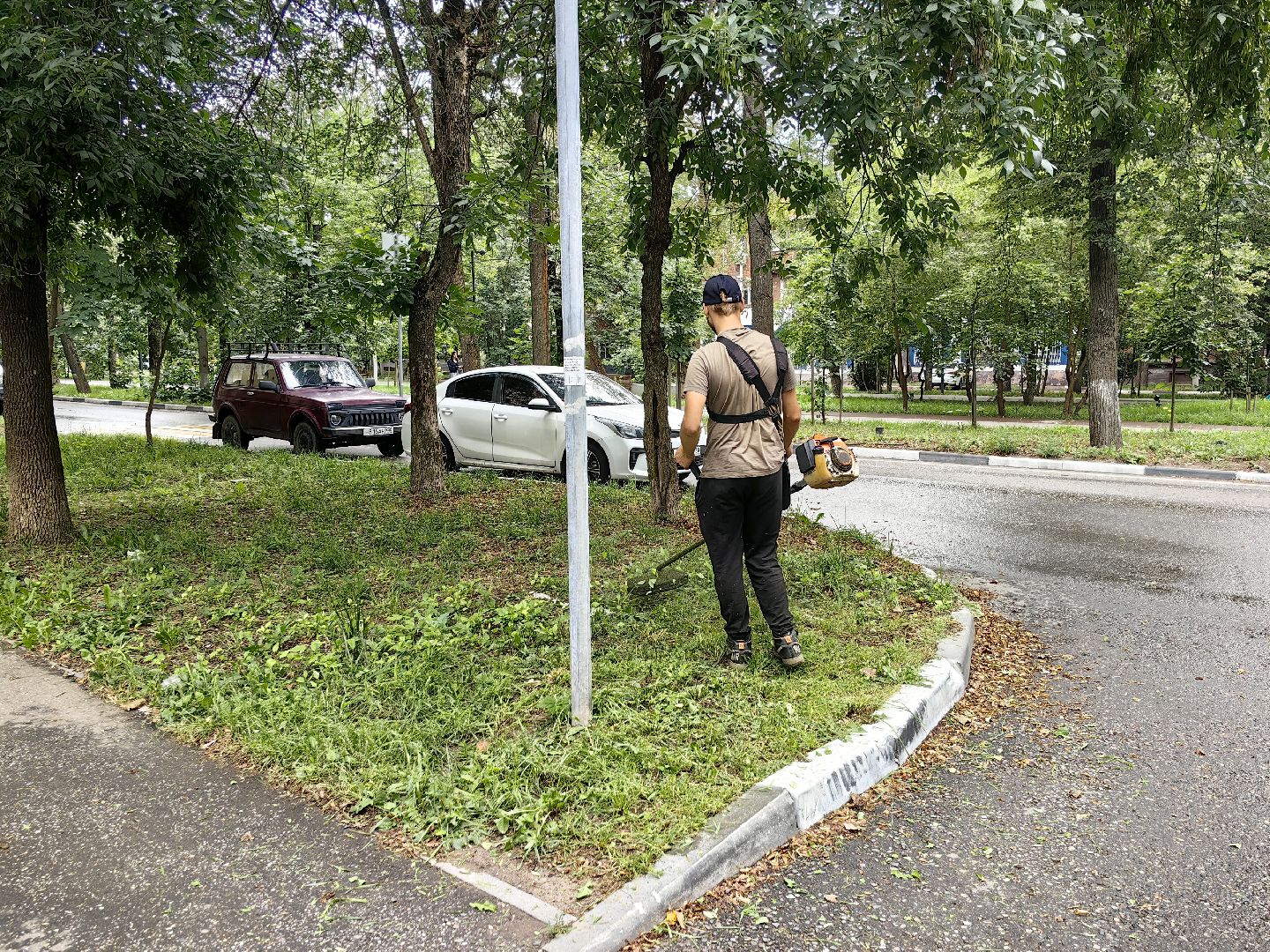 газон, стрижка, благоустройство, трава, щёлково,