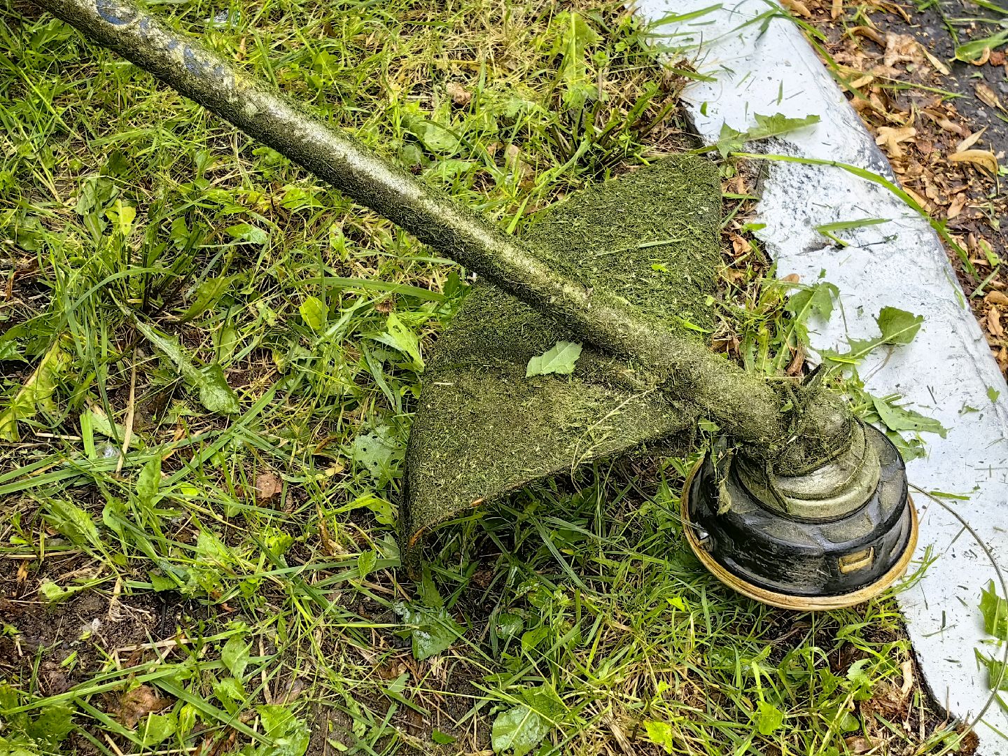 газон, стрижка, благоустройство, трава, щёлково,