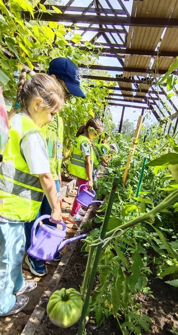 Балашиха, Подмосковье, Школьная теплица, оздоровительный лагерь, Умные каникулы,