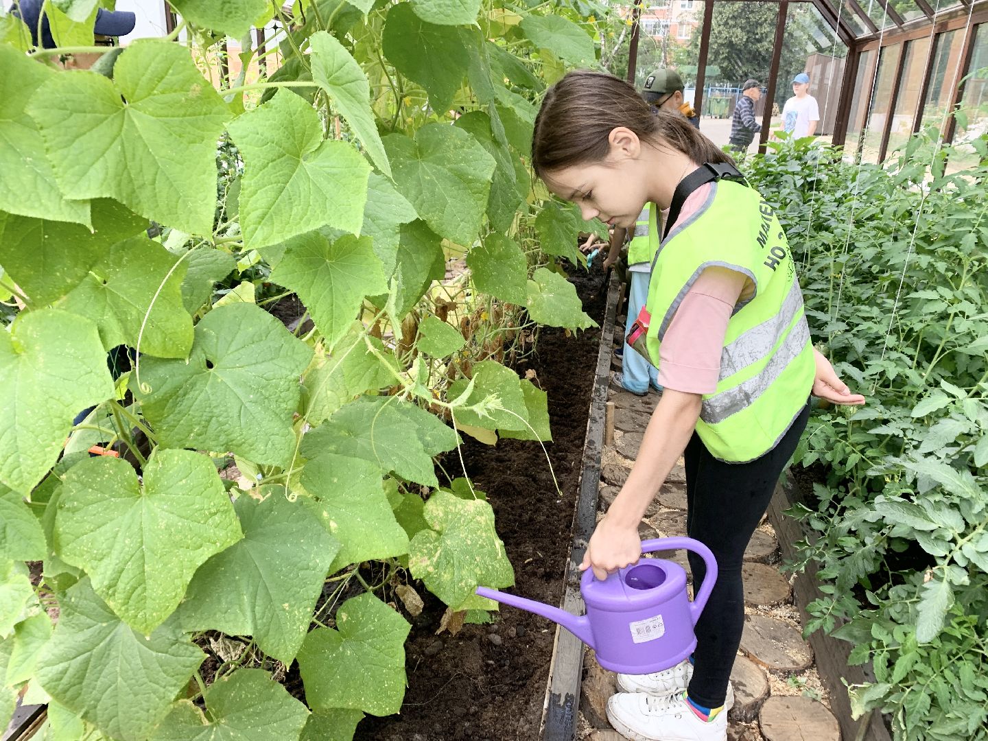 Балашиха, Подмосковье, Школьная теплица, оздоровительный лагерь, Умные каникулы,