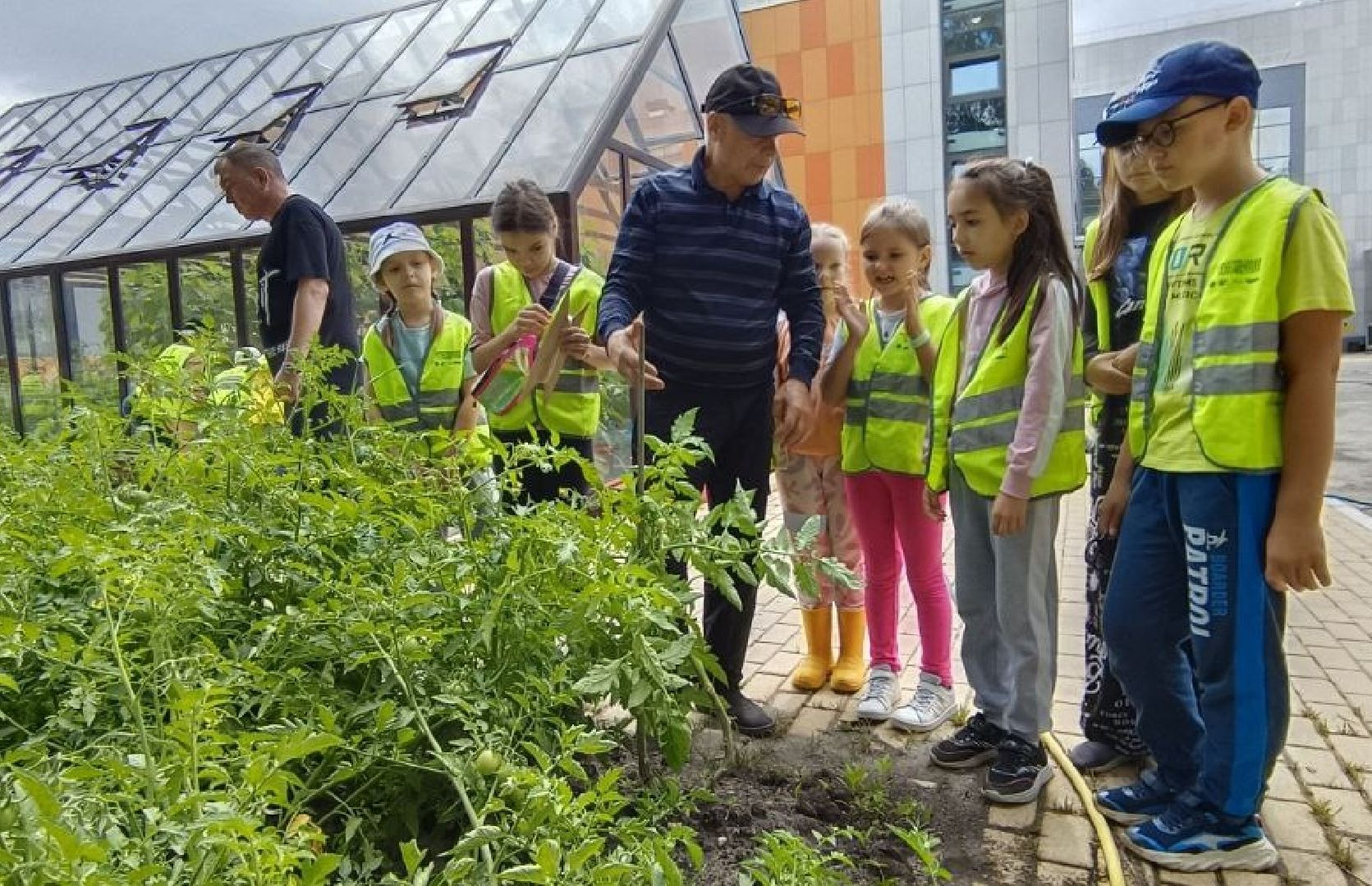 Балашиха, Подмосковье, Школьная теплица, оздоровительный лагерь, Умные каникулы,