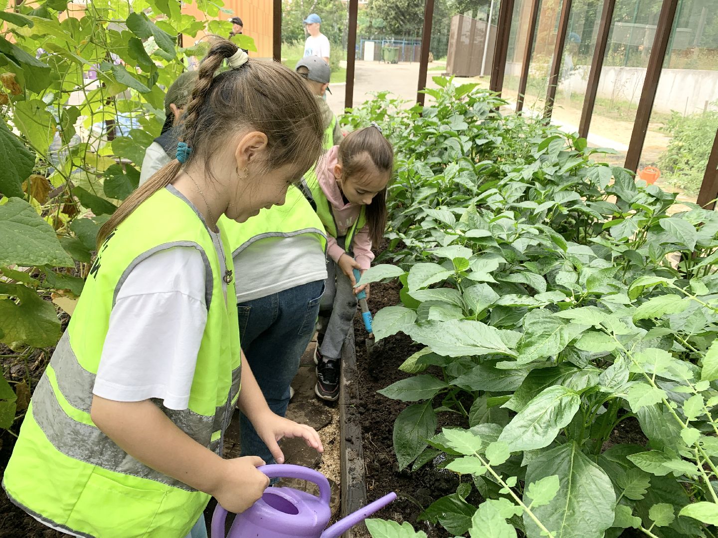 Балашиха, Подмосковье, Школьная теплица, оздоровительный лагерь, Умные каникулы,