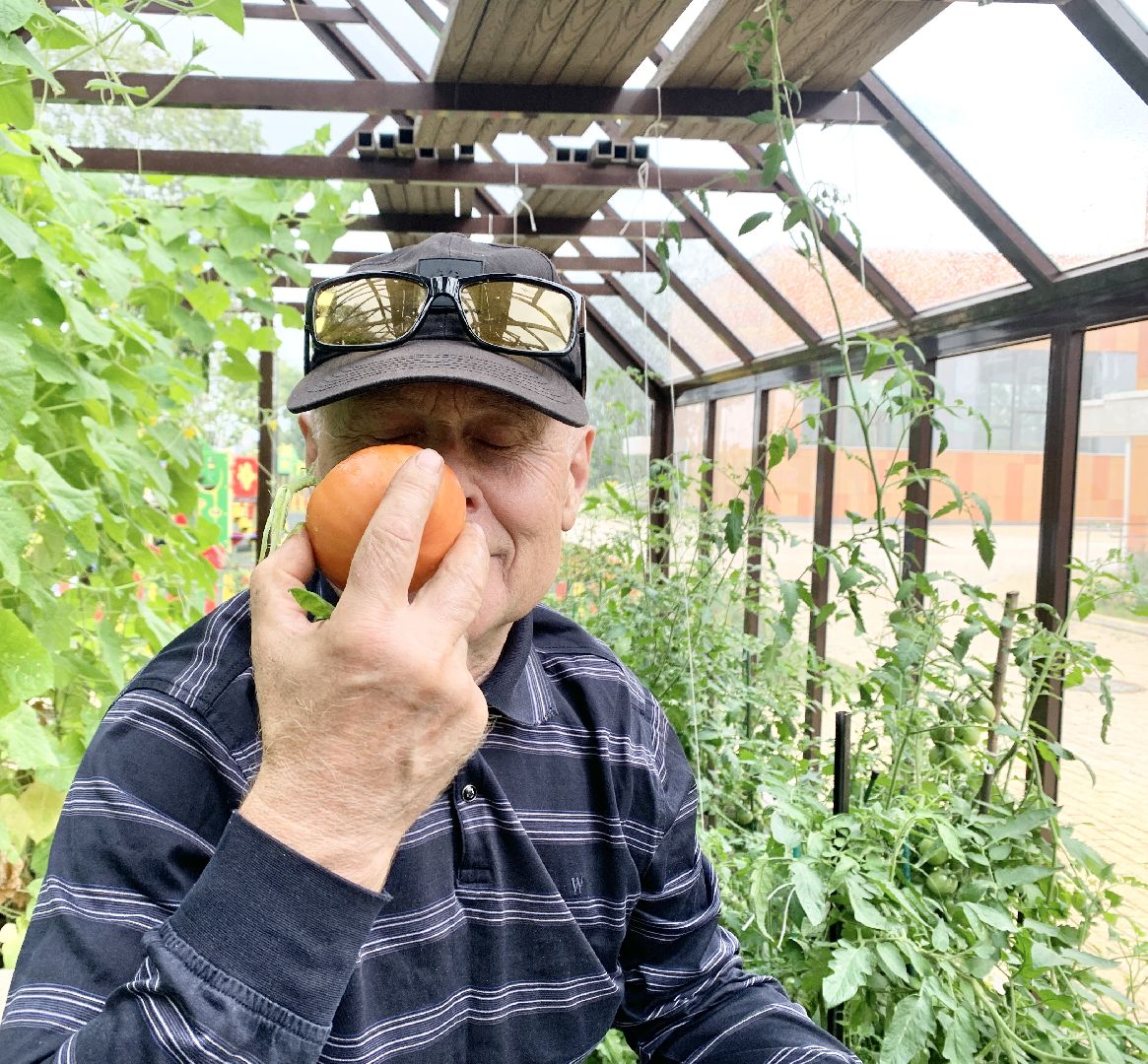 Балашиха, Подмосковье, Школьная теплица, оздоровительный лагерь, Умные каникулы,