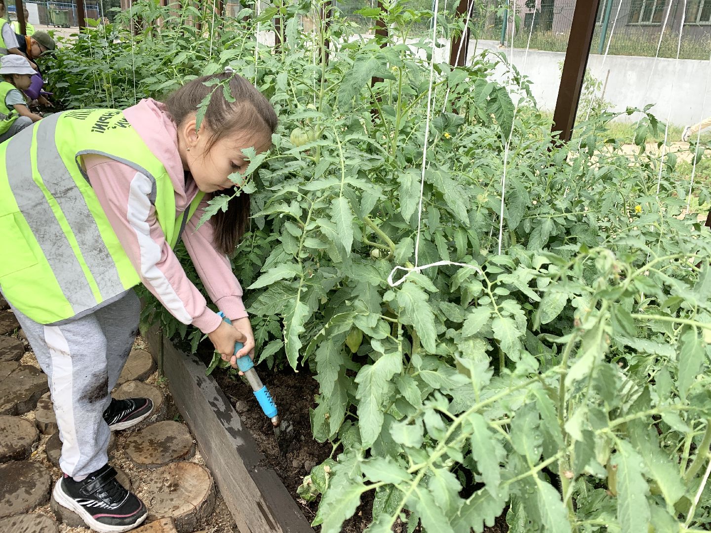 Балашиха, Подмосковье, Школьная теплица, оздоровительный лагерь, Умные каникулы,