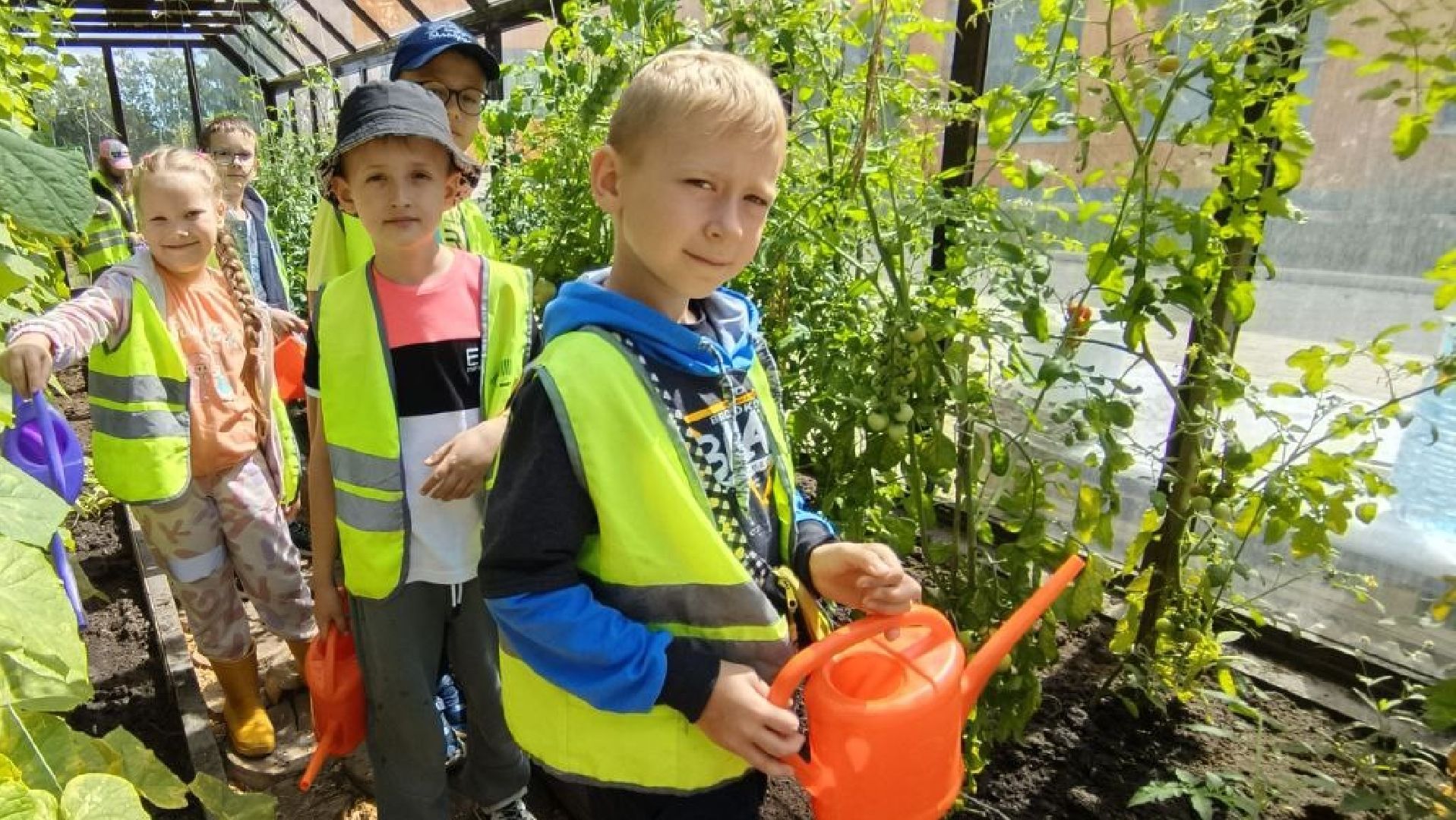 Балашиха, Подмосковье, Школьная теплица, оздоровительный лагерь, Умные каникулы,