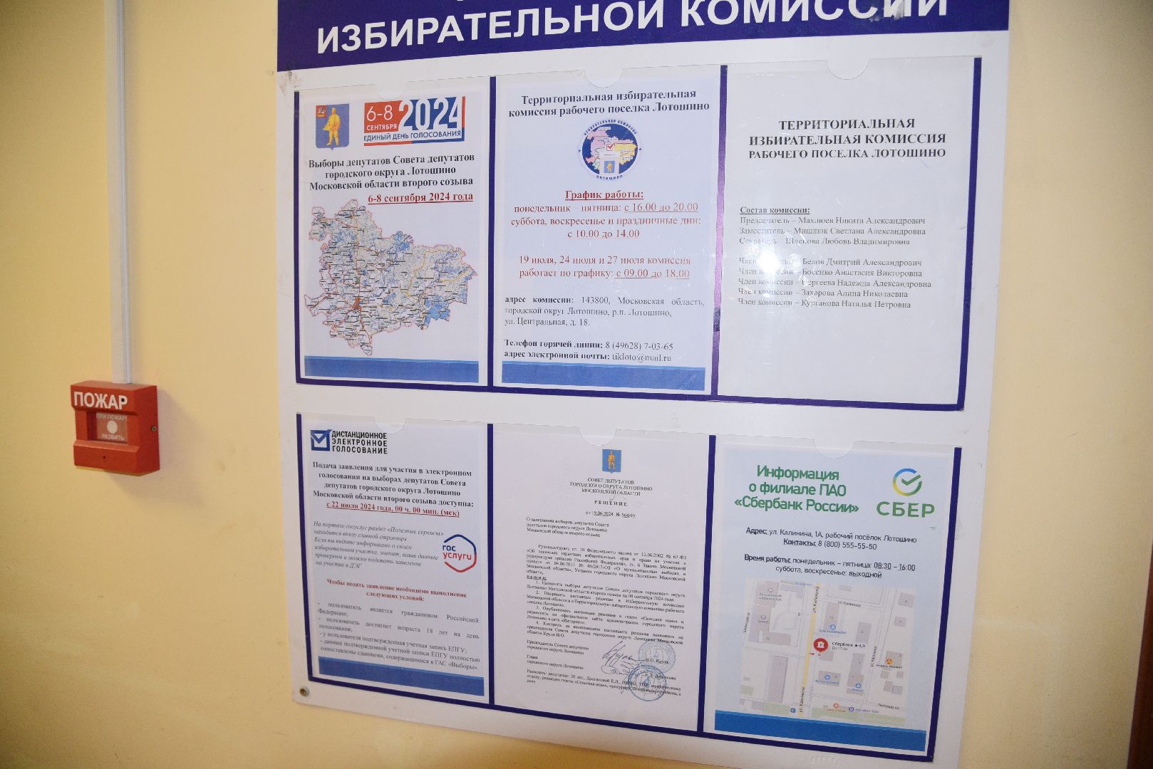 лотошино, тик, выборы, совет депутатов, единый день голосования,