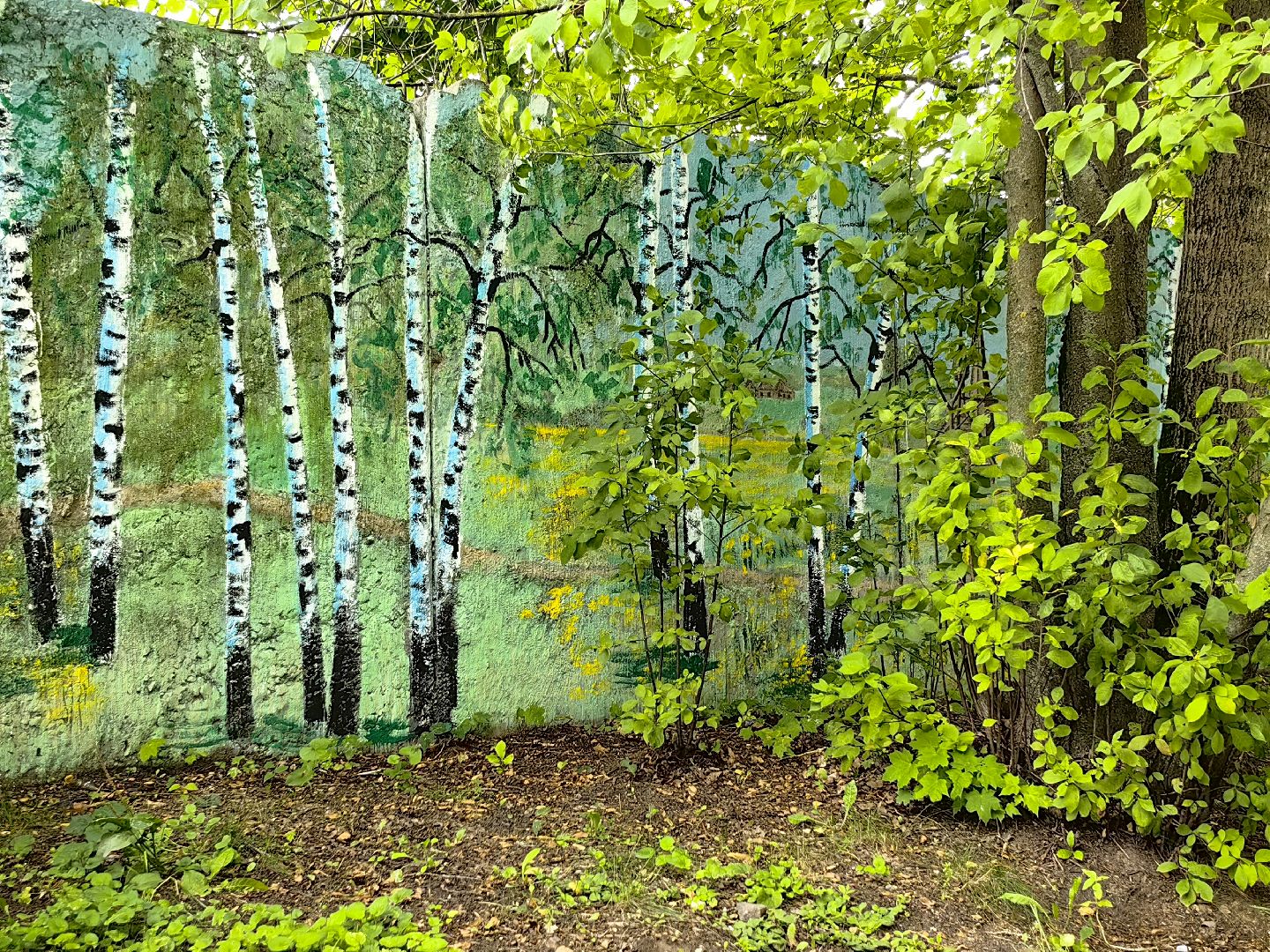 художница, Монино, забор, живопись, рисунки на заборе, щёлково,