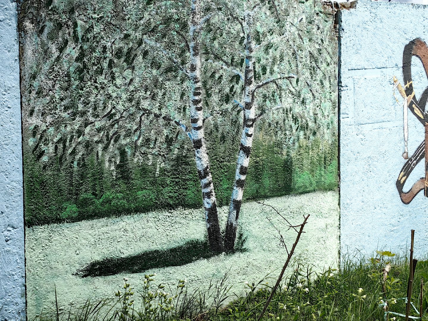 художница, Монино, забор, живопись, рисунки на заборе, щёлково,