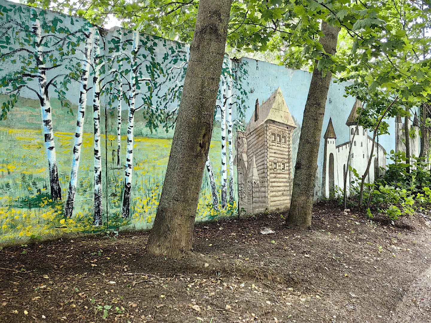 художница, Монино, забор, живопись, рисунки на заборе, щёлково,