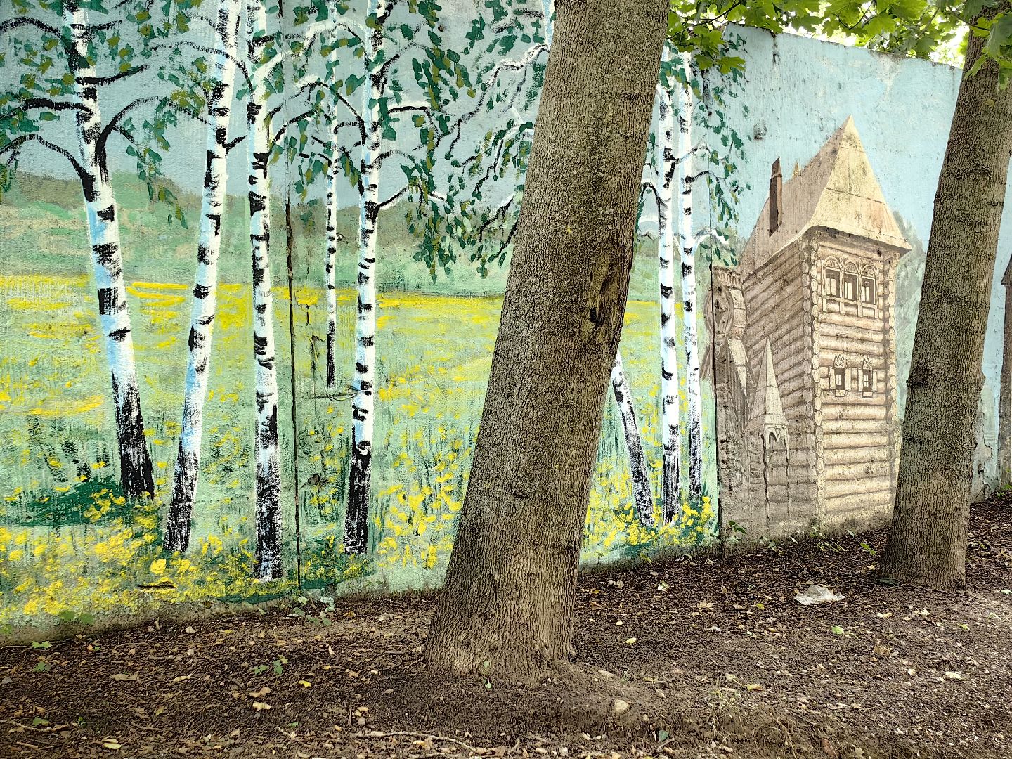 художница, Монино, забор, живопись, рисунки на заборе, щёлково,