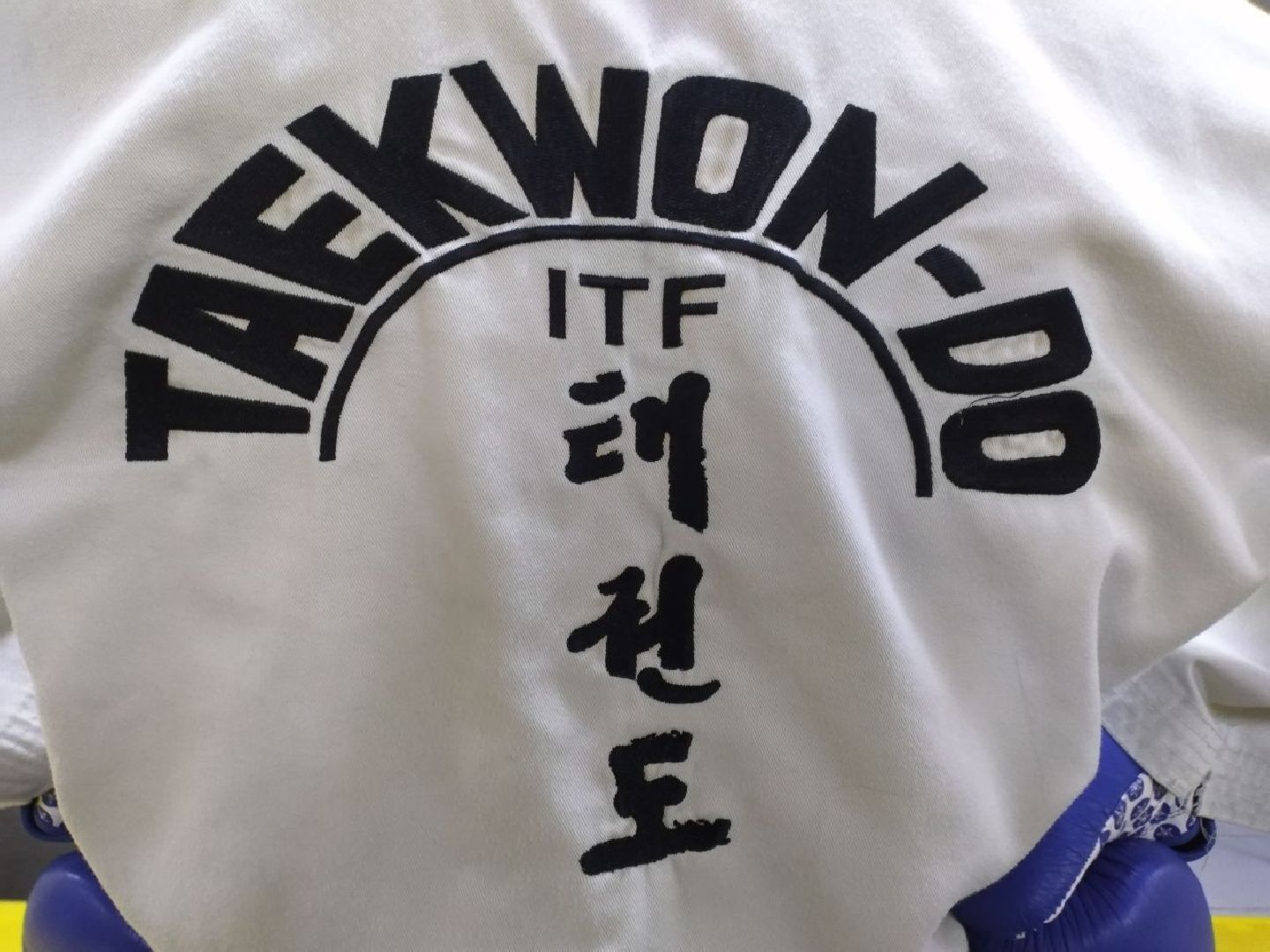 спорт, тхэквондо, чемпионат России, Лосино-Петровский