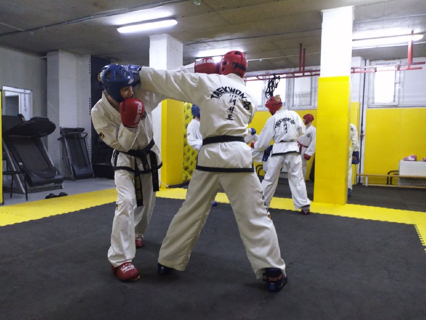 спорт, тхэквондо, чемпионат России, Лосино-Петровский