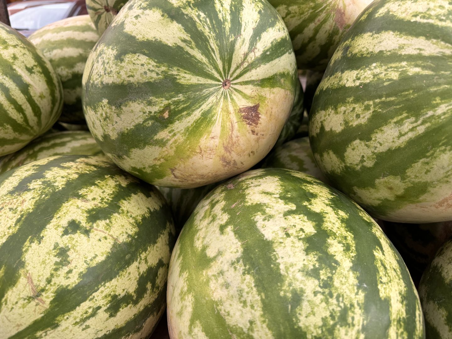 Сезон арбузов, Одинцовское подворье, астраханские арбузы,