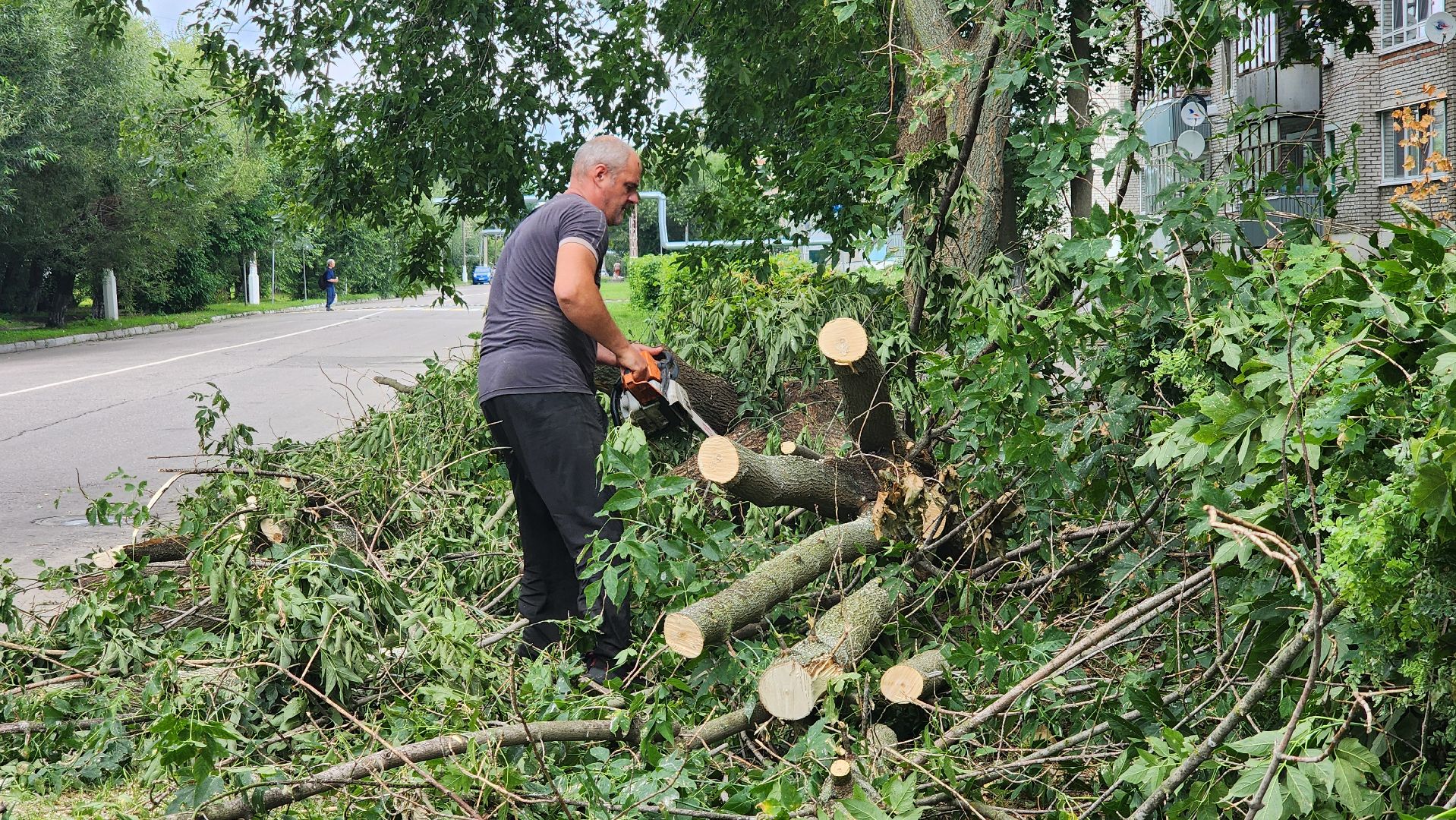 план добрых дел, благоуйстройство, Рошаль,Большая Шатура,