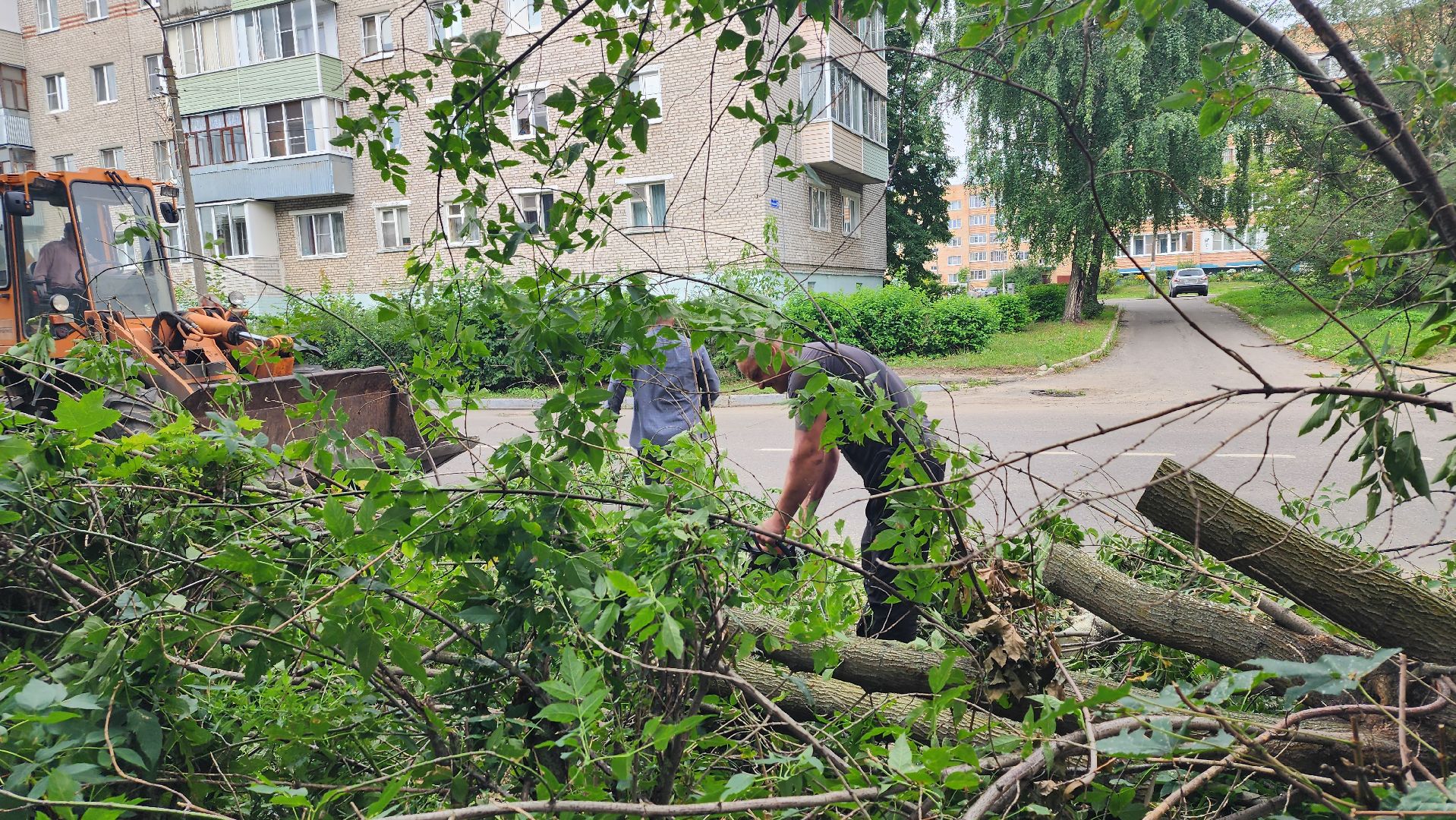 план добрых дел, благоуйстройство, Рошаль,Большая Шатура,