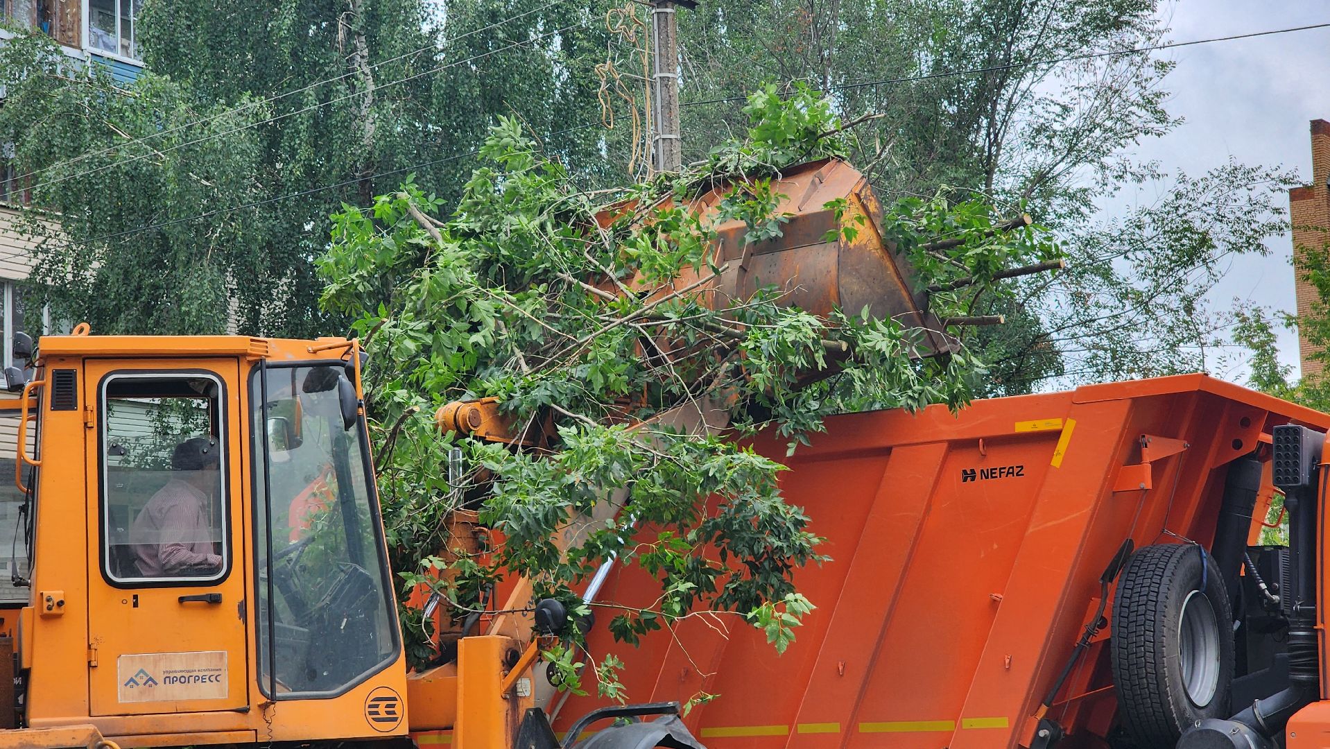 план добрых дел, благоуйстройство, Рошаль,Большая Шатура,