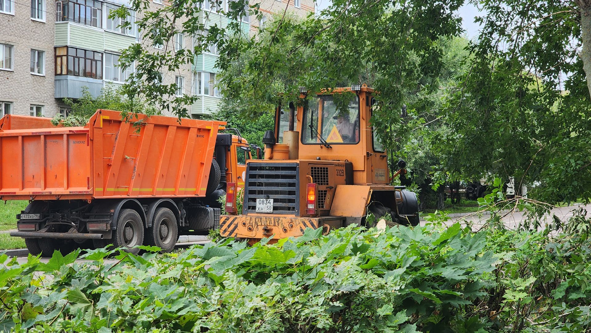 план добрых дел, благоуйстройство, Рошаль,Большая Шатура,