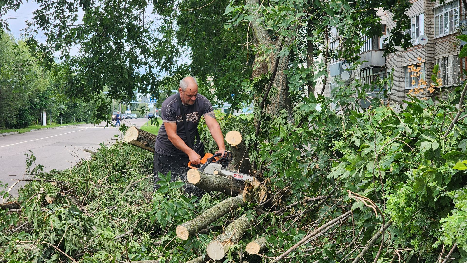 план добрых дел, благоуйстройство, Рошаль,Большая Шатура,