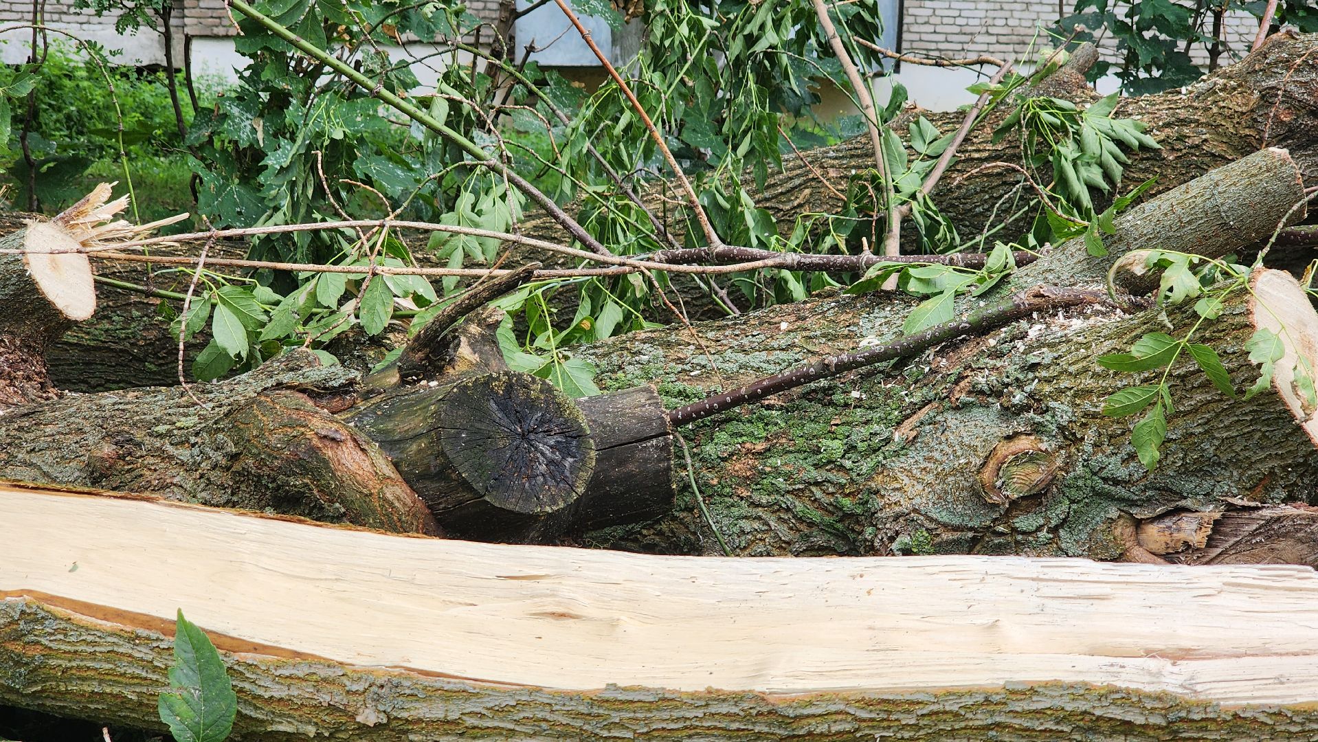 план добрых дел, благоуйстройство, Рошаль,Большая Шатура,