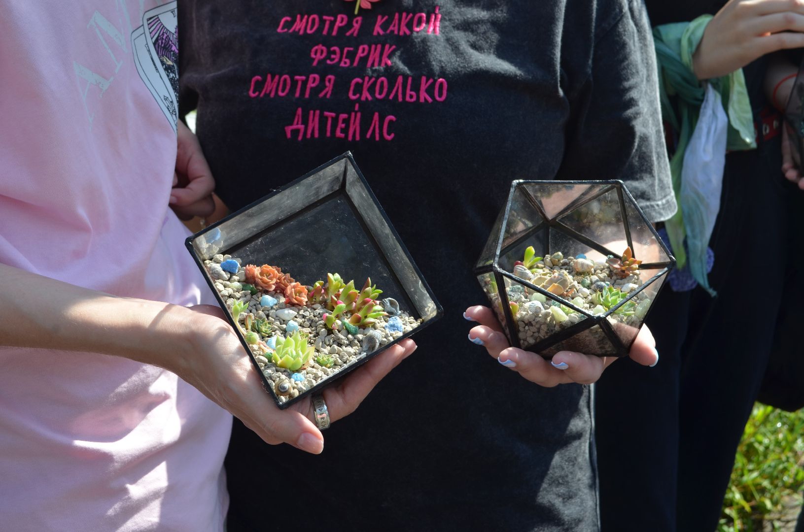 Черноголовка, Мастер классы, растения, навыки