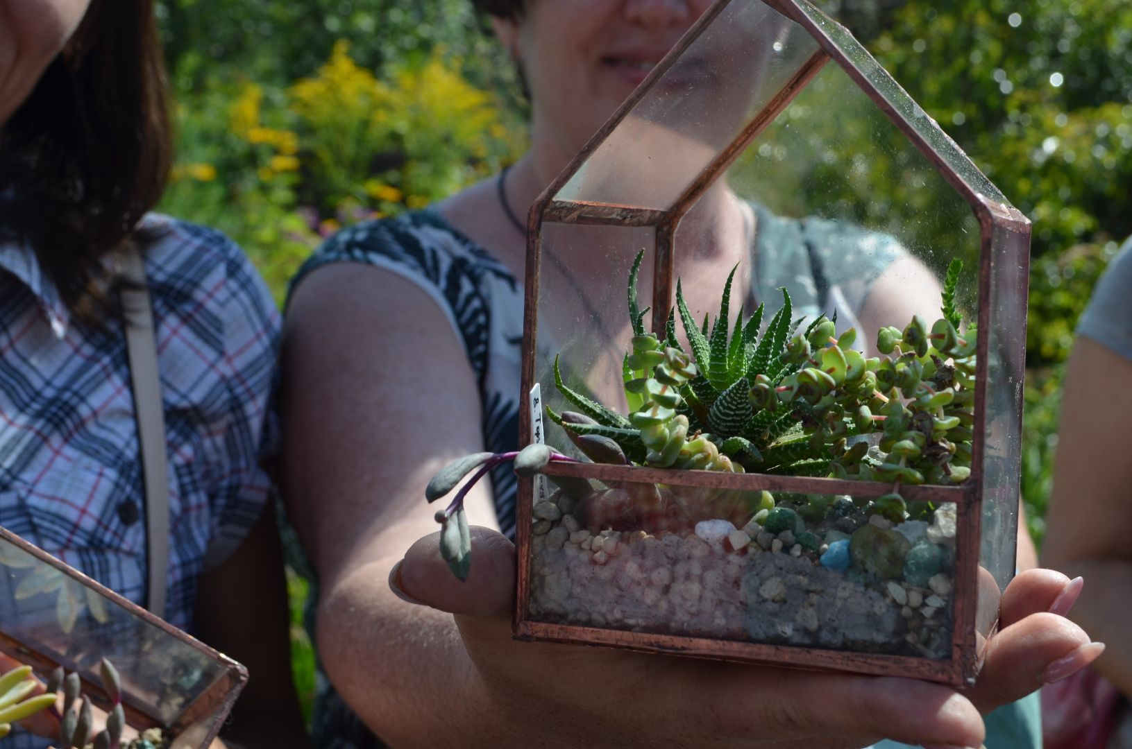 Черноголовка, Мастер классы, растения, навыки