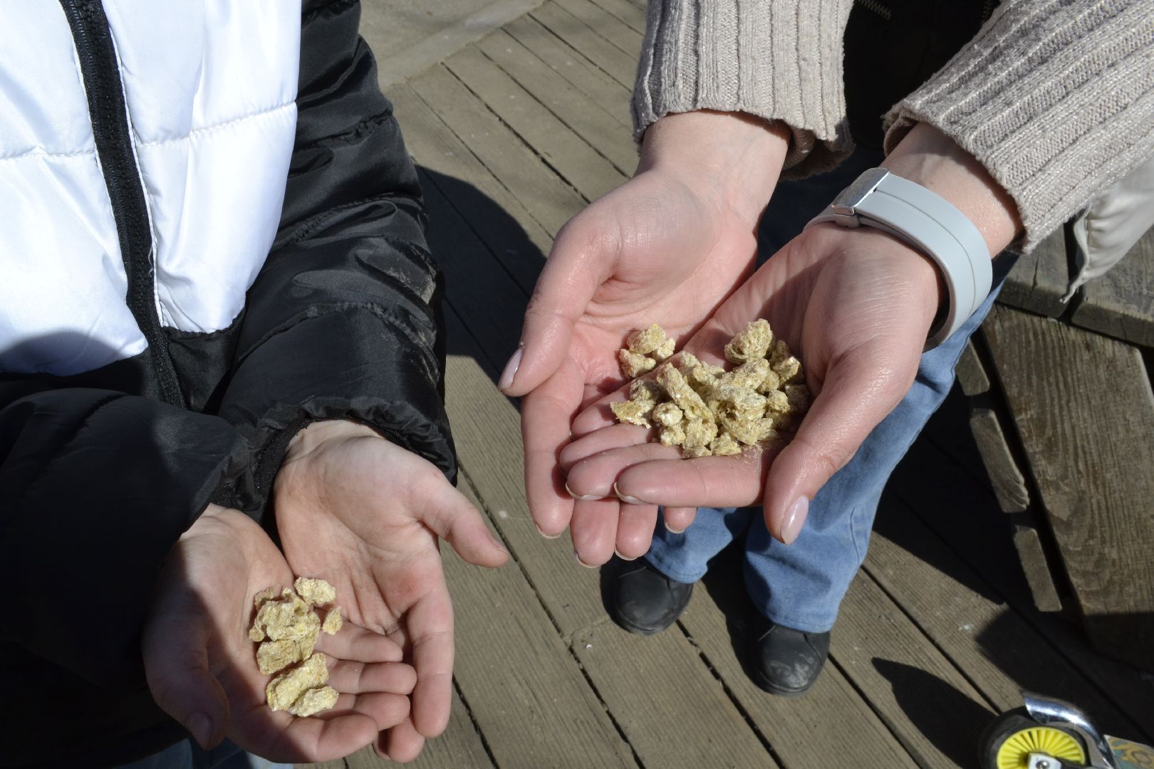 Балашиха, Подмосковье, парки, корм, утки, река, благоустройство