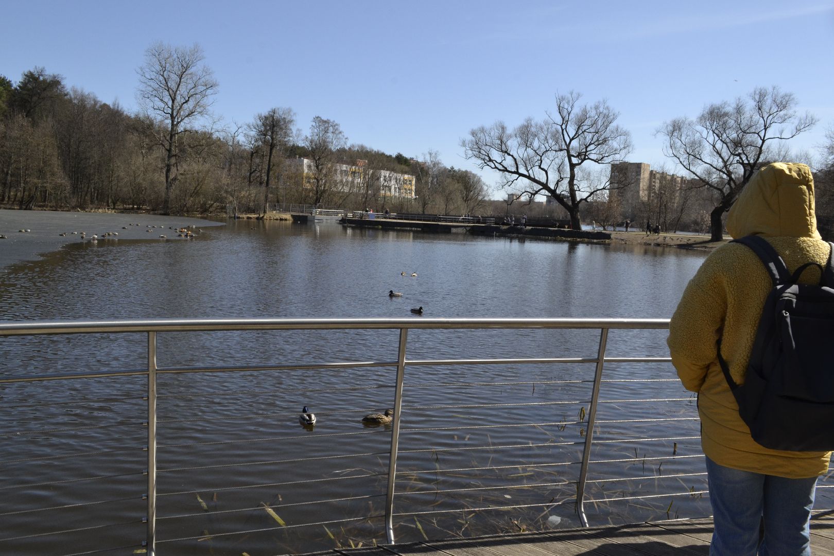 Балашиха, Подмосковье, парки, корм, утки, река, благоустройство