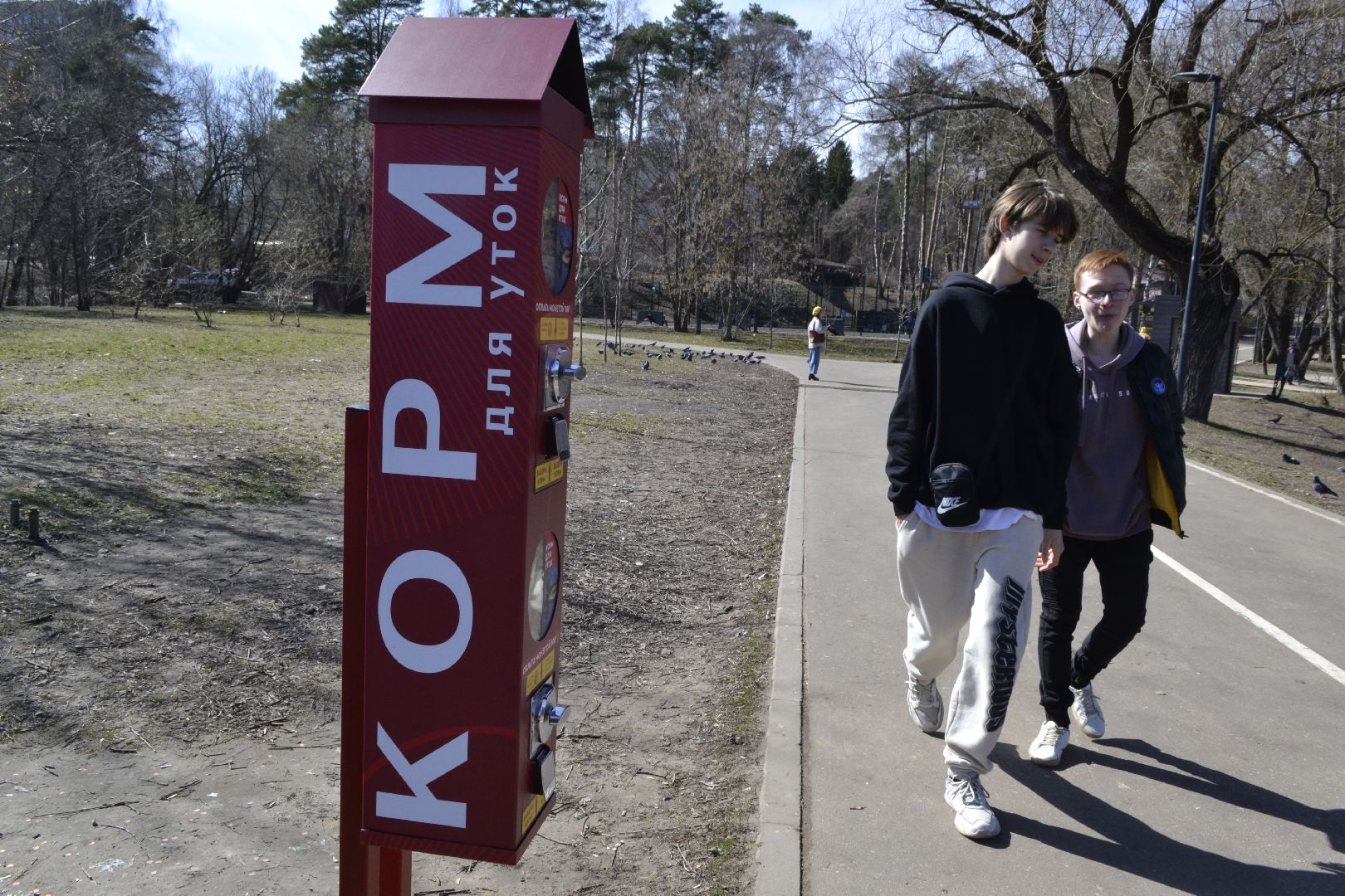 Балашиха, Подмосковье, парки, корм, утки, река, благоустройство