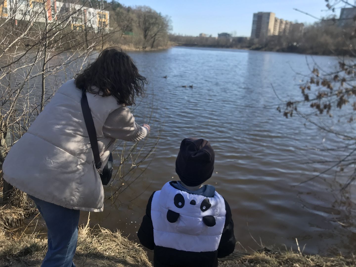 Балашиха, Подмосковье, парки, корм, утки, река, благоустройство