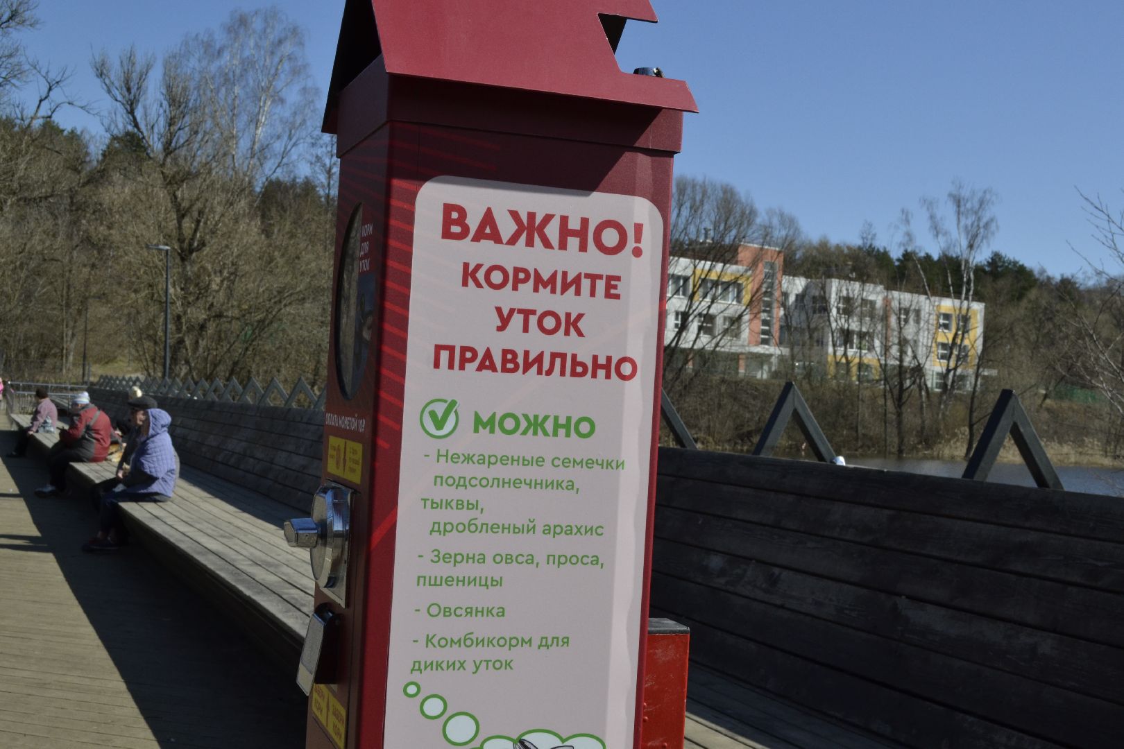 Балашиха, Подмосковье, парки, корм, утки, река, благоустройство