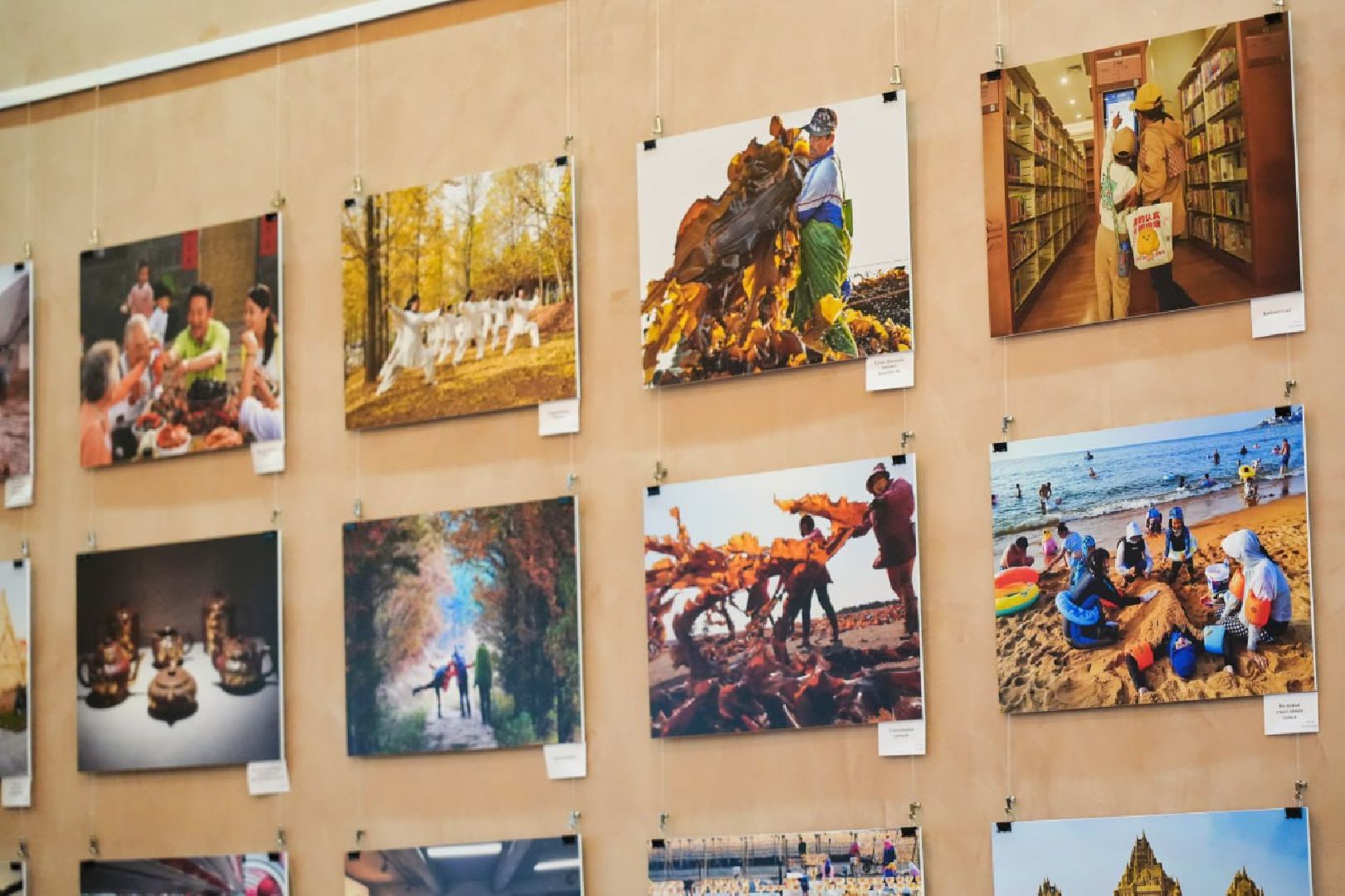 Культура, Выставка, Библиотека, Фотографии, Китай,