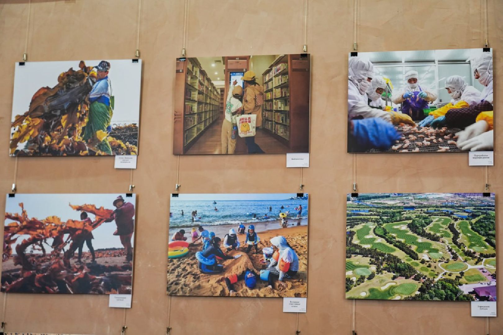 Культура, Выставка, Библиотека, Фотографии, Китай,