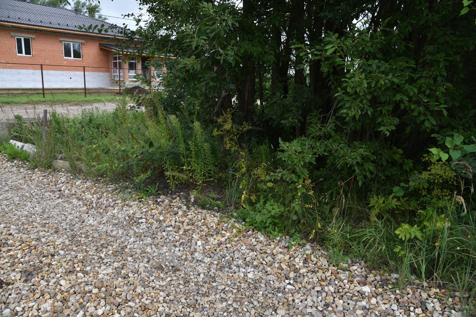 лотошино, кировский, благоустройство, ремонт дорог,