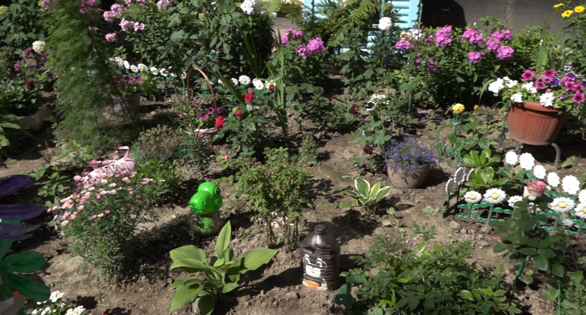 мой двор - моя гордость, подведение итогов, клумбы Домодедова,