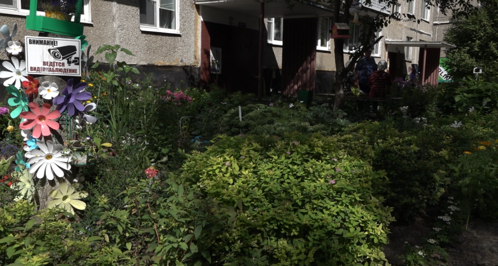 мой двор - моя гордость, подведение итогов, клумбы Домодедова,