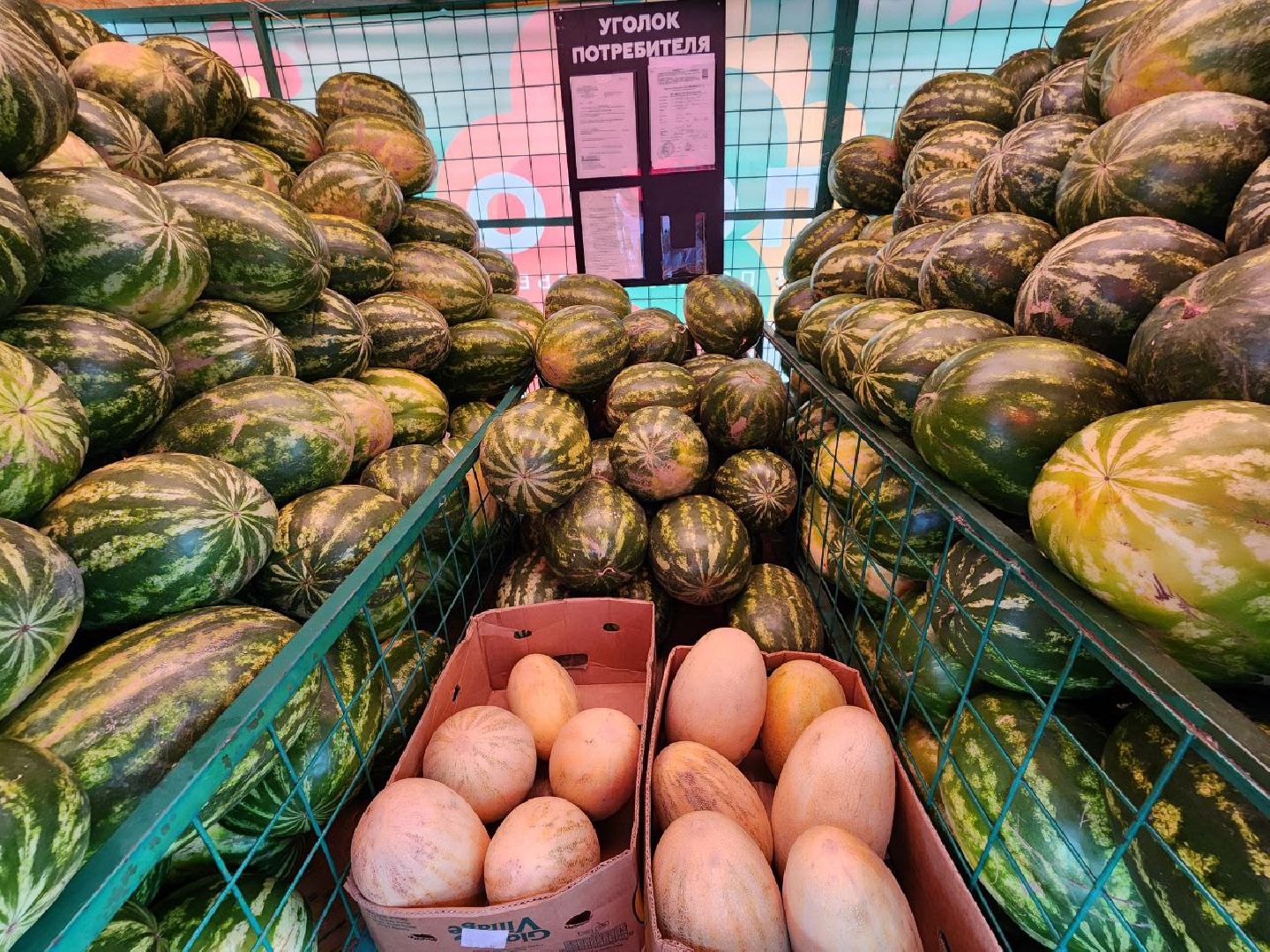 продажа бахчевых, сезон арбузов, дыни и арбузы, торговля в ленинском округе, ленинский округ,