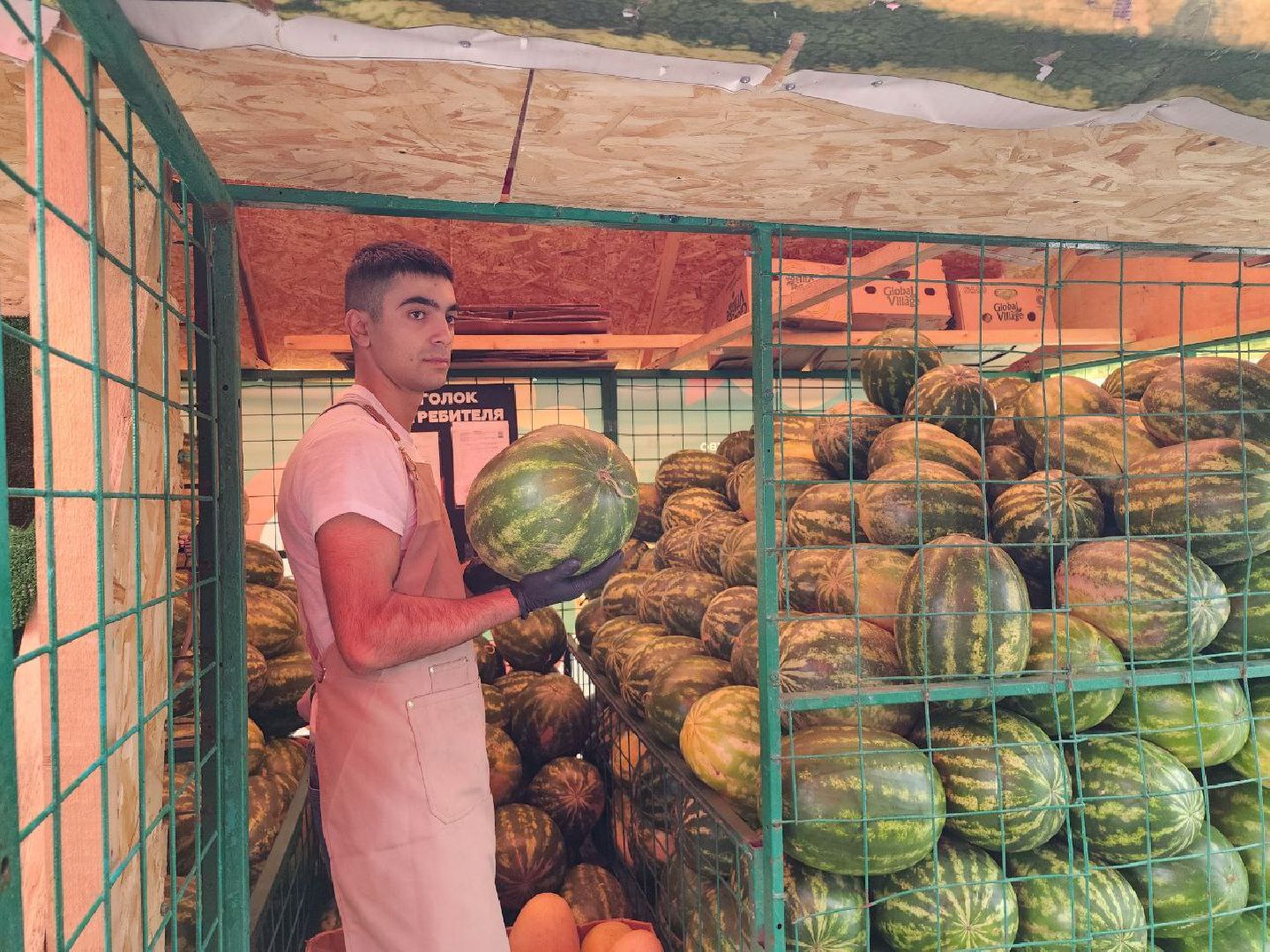 продажа бахчевых, сезон арбузов, дыни и арбузы, торговля в ленинском округе, ленинский округ,