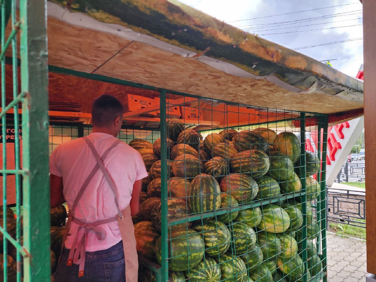 продажа бахчевых, сезон арбузов, дыни и арбузы, торговля в ленинском округе, ленинский округ,