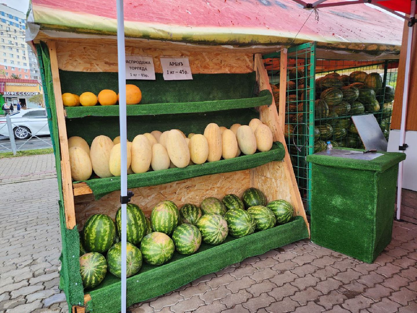 продажа бахчевых, сезон арбузов, дыни и арбузы, торговля в ленинском округе, ленинский округ,