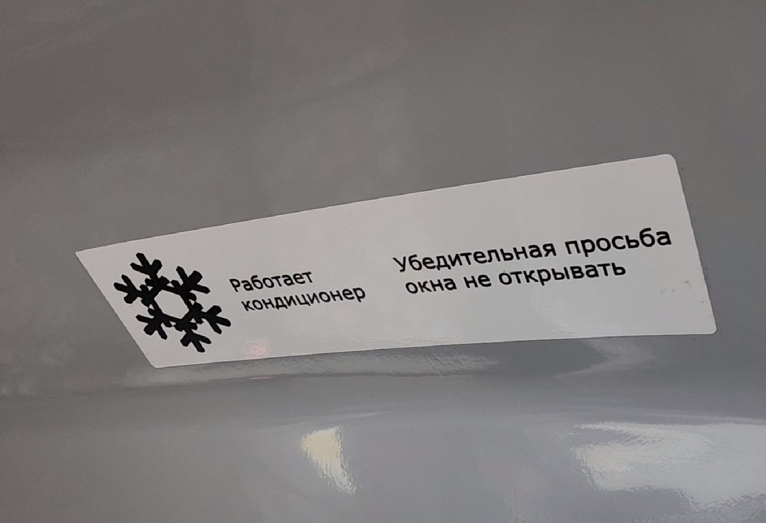 ногинск, общество, жители, транспорт, автобус, новые автобусы, мострансавто,