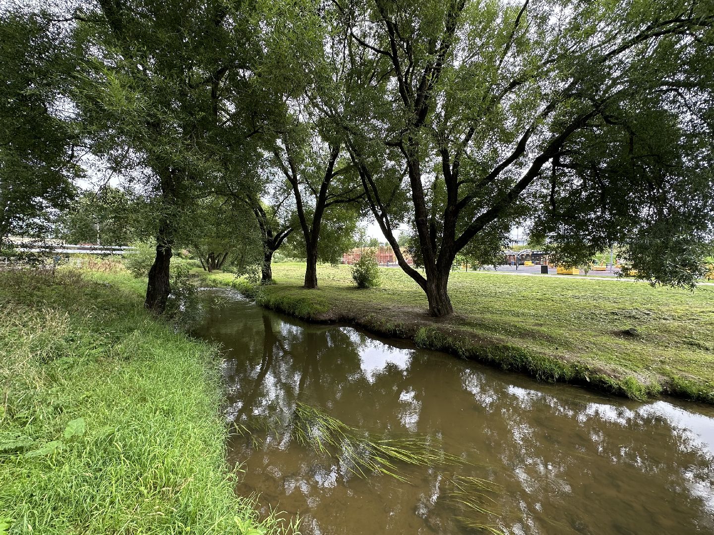 парки Истры, спорт, детские площадки,