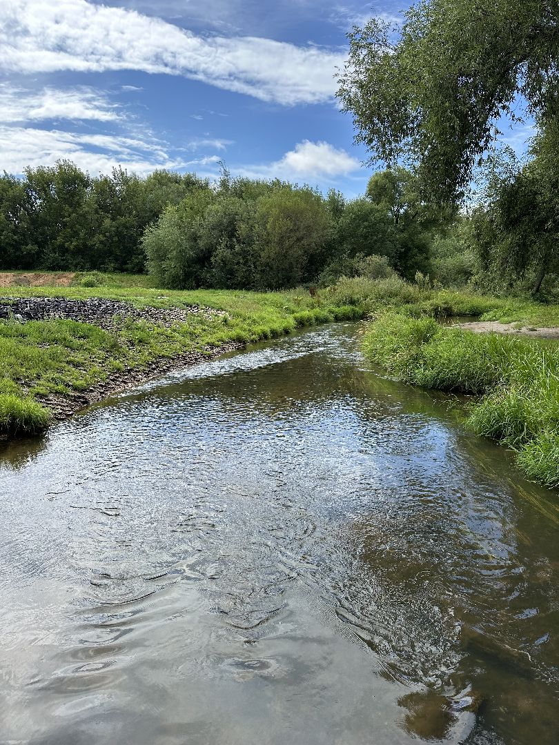 парки Истры, спорт, детские площадки,