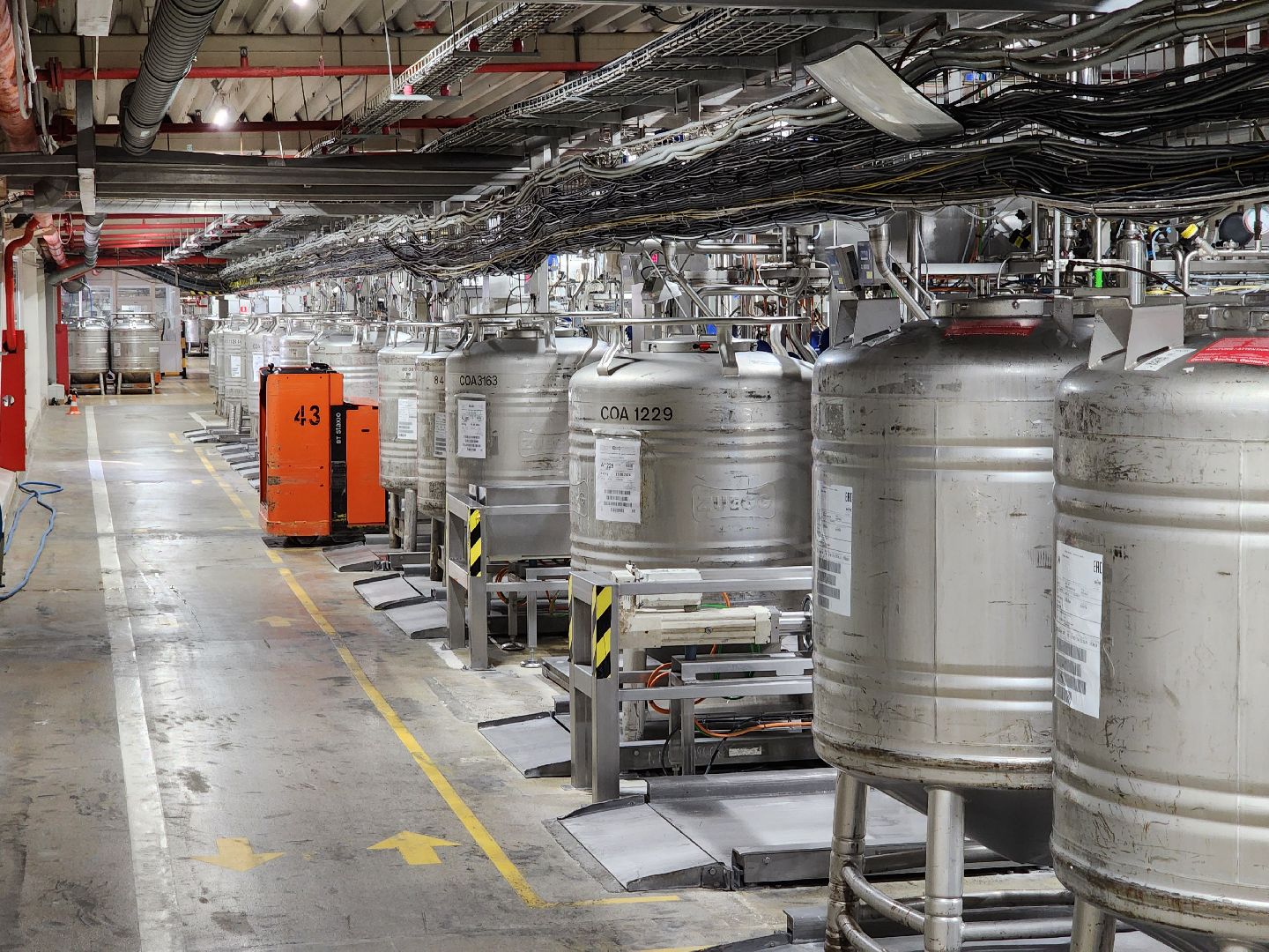 Чехов, поселок Любучаны, молочное предприятие Health and Nutrition, производство молочных продуктов, пилотный завод, испытательная лаборатория, инновации, новинки, прототипы,