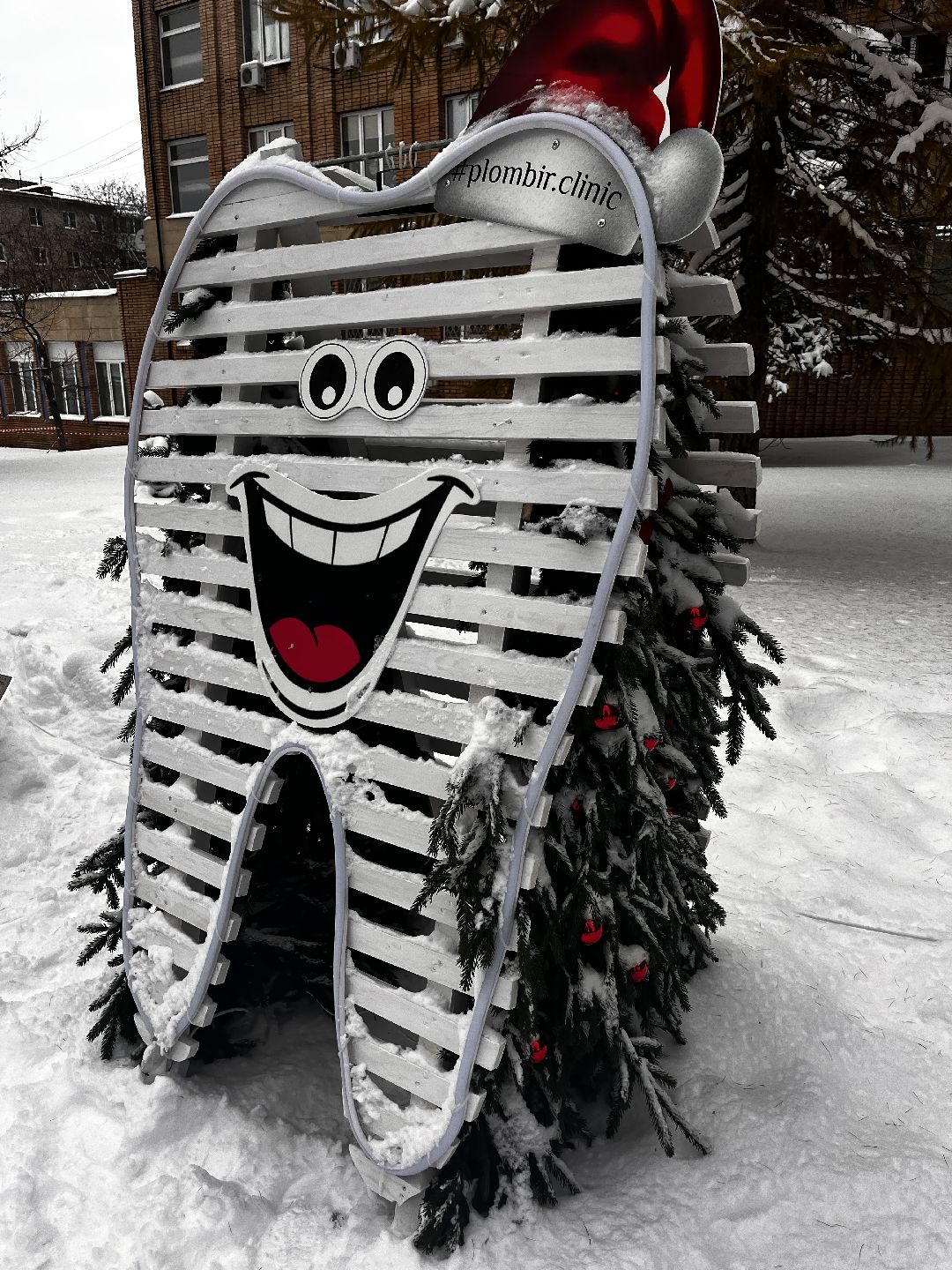 Можайск, общество