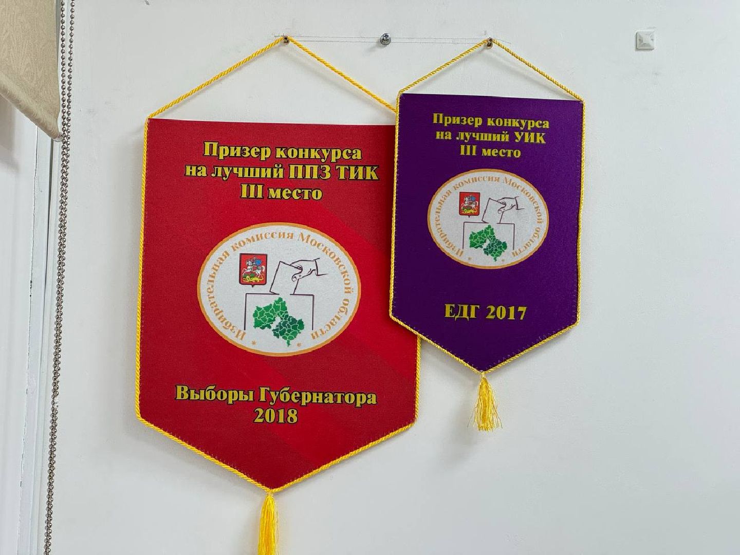 тик, совет депутатов, городской округ восход, выборы,